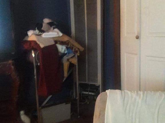 3rd image of 1028 Harlan Ave