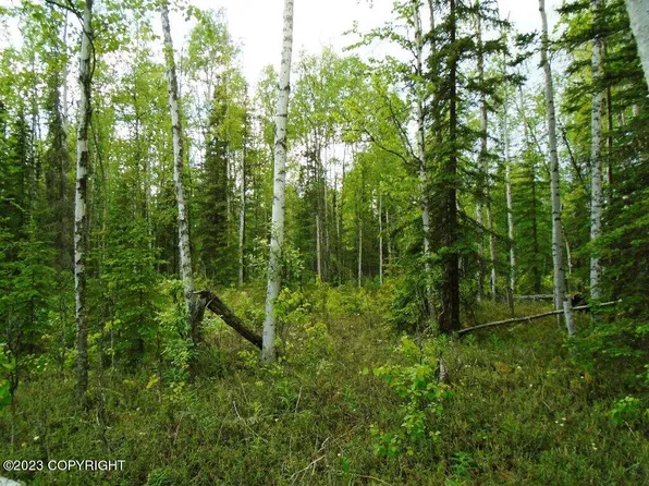 9771 W Stanley Dr, Wasilla, AK 99623