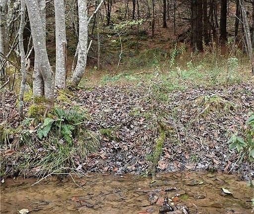 4th image of TBD NC Highway 93