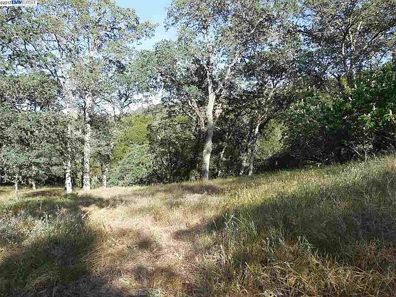 2nd image of 3008 Bragdon Way