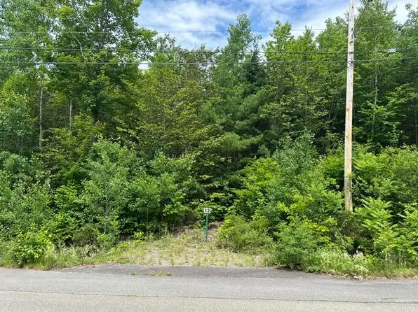 Lot 12 Grant Road, Orono, ME 04473