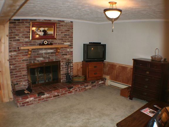 Den-Fireplace