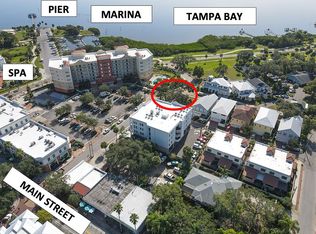 255 Iron Age St, Safety Harbor, FL 34695
