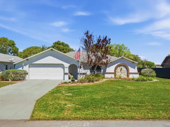 4298 Craigdarragh Ave, Spring Hill, FL 34606