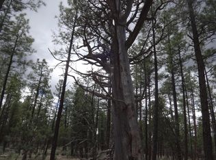 LOT 23 Richardson Ln, Lakeside, AZ 85929