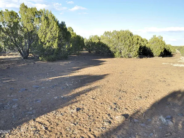 11D Lodge Pole Rd, Show Low, AZ 85901