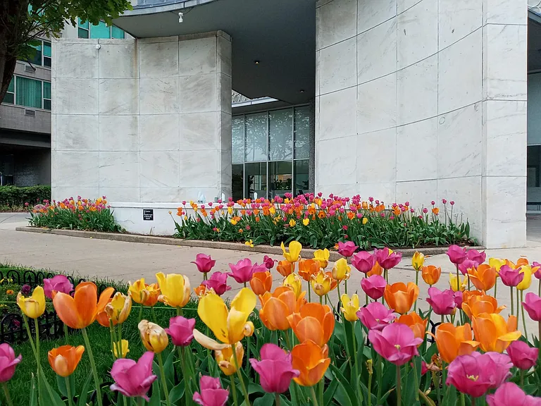 Springtime flora at the front entrance.