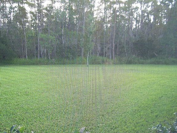 Conservation Lot