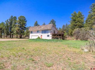 917 Great West Ave, Pagosa Springs, CO 81147