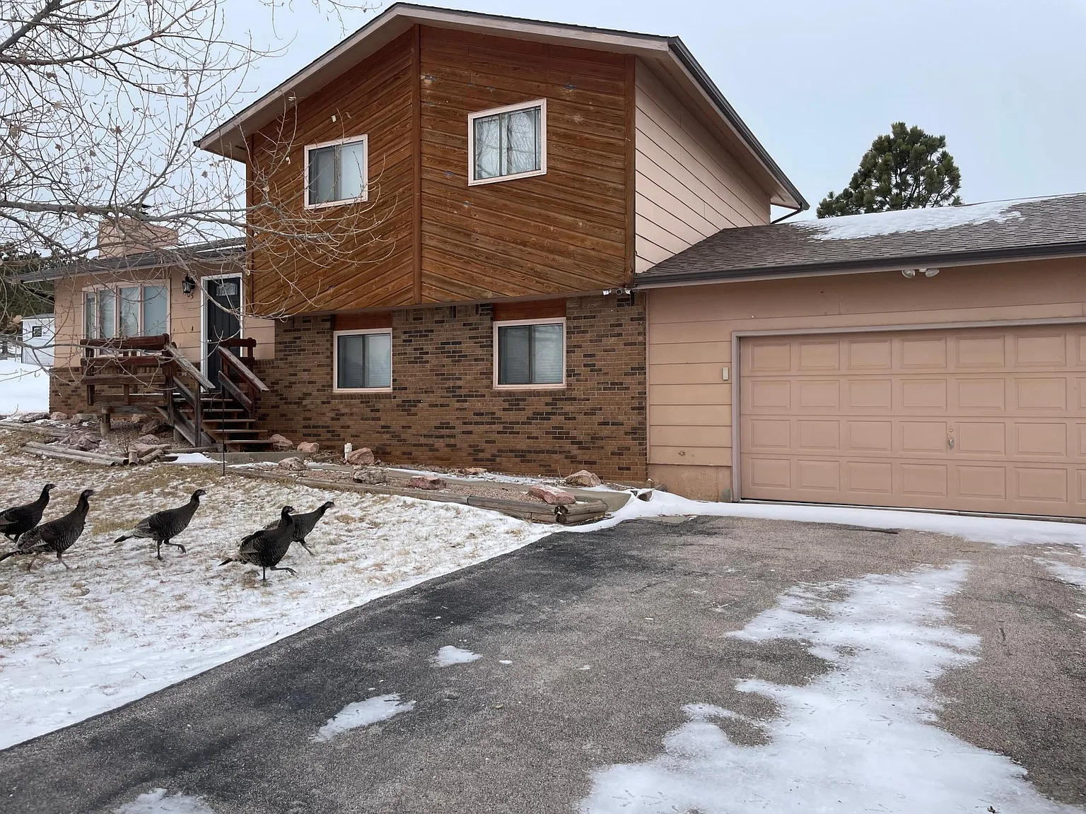 3 bed, 1580 sqft, $2,200 — Photo 3