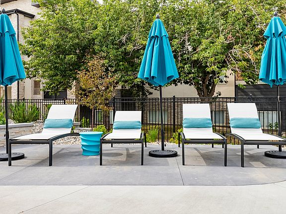 Pool Loungers 1