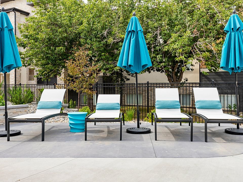 Pool Loungers 1