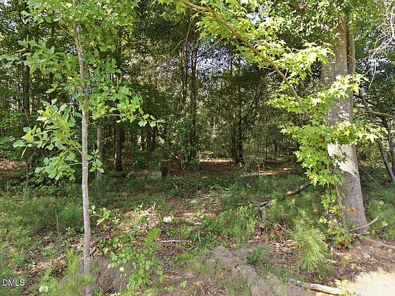 2nd image of 331 Meadow Walk Dr Lot 38