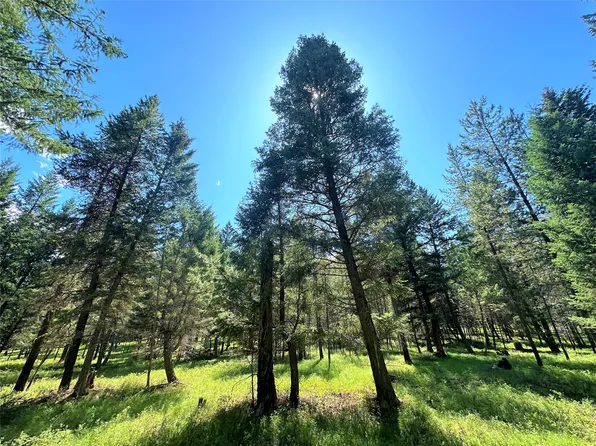 LOT 3 Moose Farm Trl, Fortine, MT 59918
