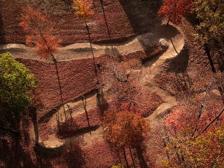 Neighborhood