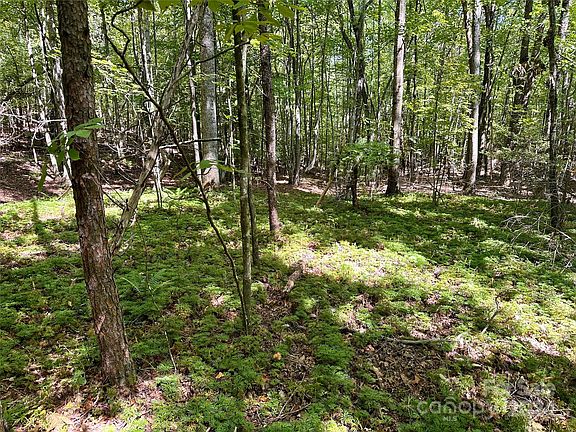 2nd image of 0 Tahawus Dr #58