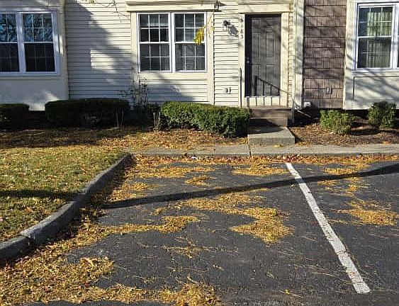 3rd image of 5185 Singleton Dr