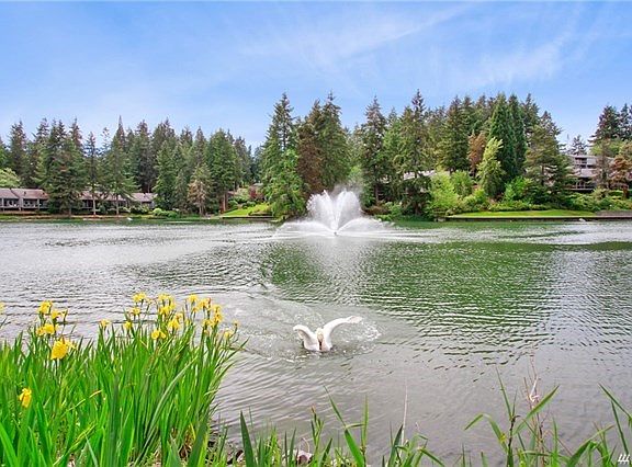 Serene lake with your very own swans right across the street.