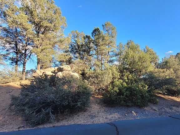 4th image of 105 N Feather Plume Cir