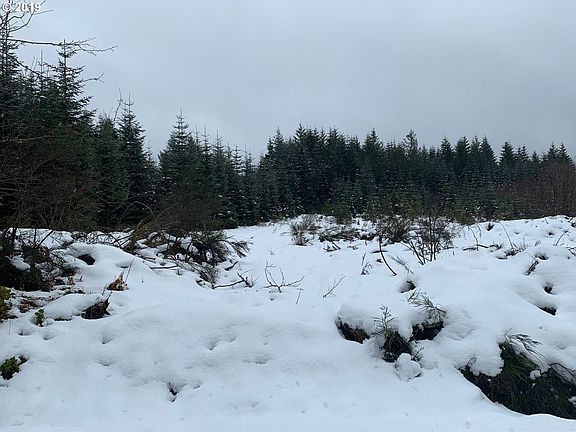 4th image of 0 Silver Falls Dr SE