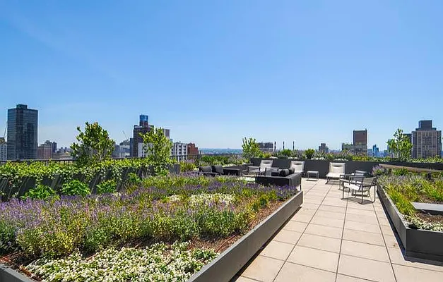 Rented by Aviram Garma, LREB | media 59