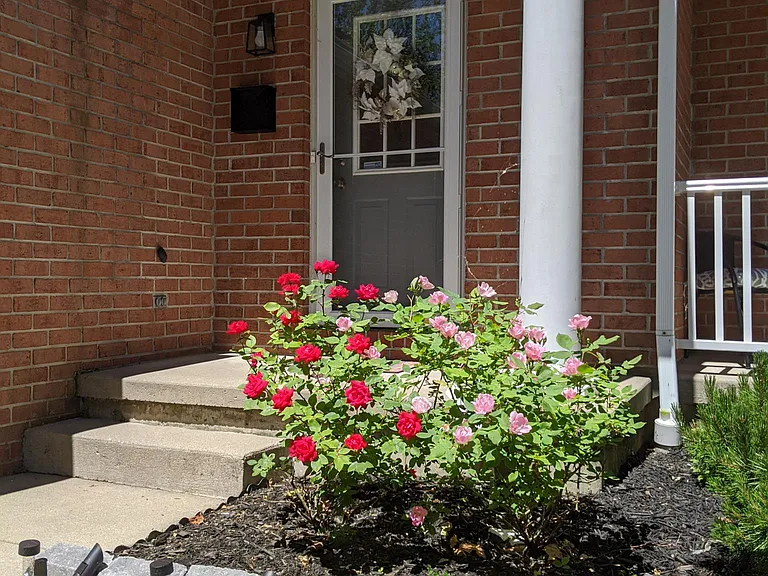 111 Delmar Mitchell Dr — Photo 17