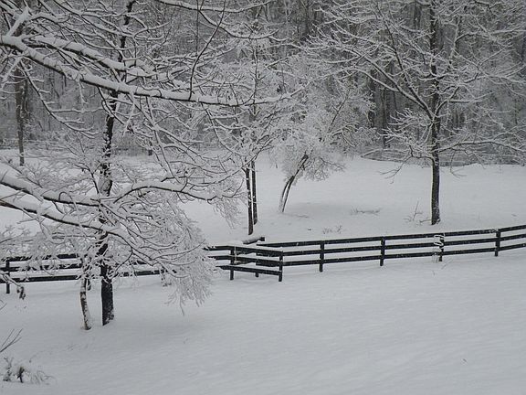 backyard into pasture