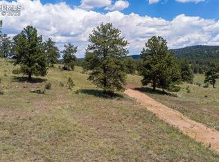 69 Park Ridge Dr, Guffey, CO 80820