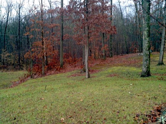 5th image of 239 Coventry Dr