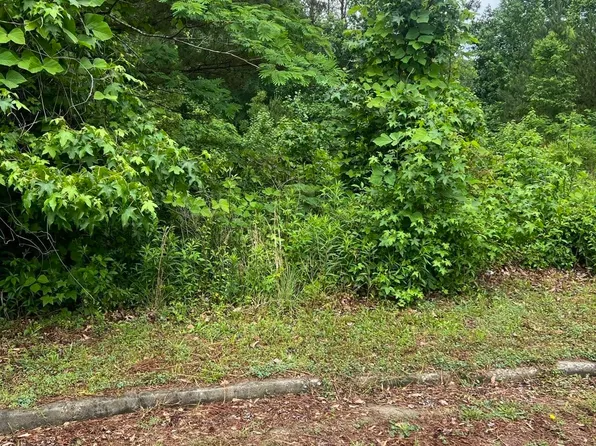 1102 Elysian Park SW, Atlanta, GA 30331