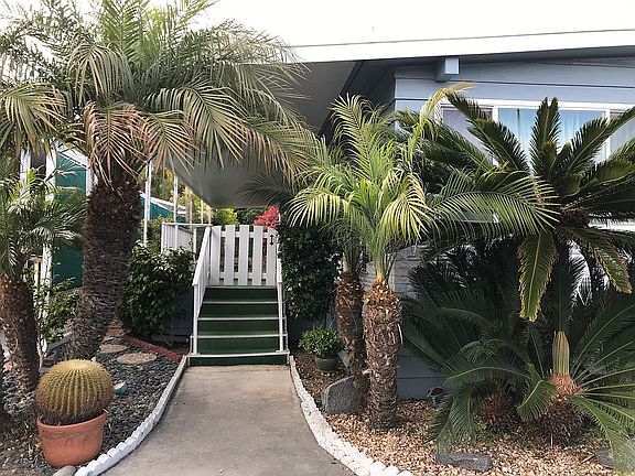 Private, large, backyard