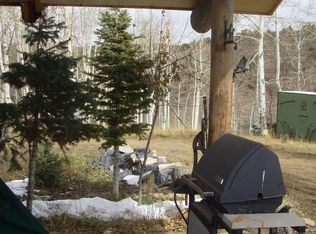 2072 County Road 56 #V, Placerville, CO 81430
