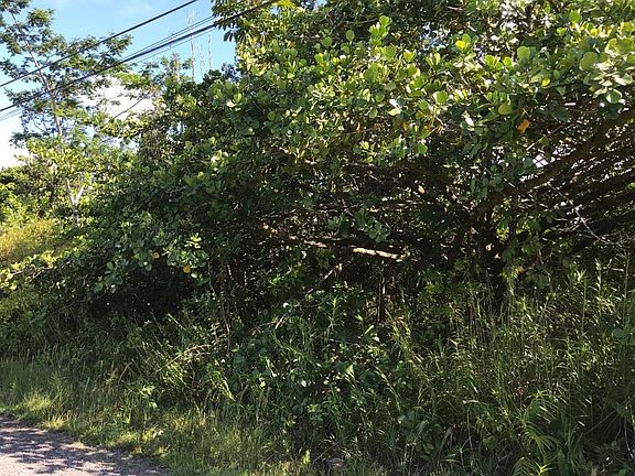 4th image of 6th Ave Lot 2239