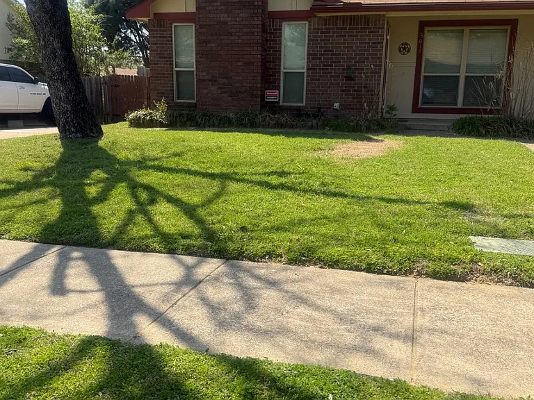 3011 Timothy Ln — Photo 2