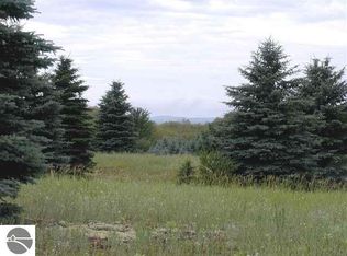 Litzen Rd, Copemish, MI 49625