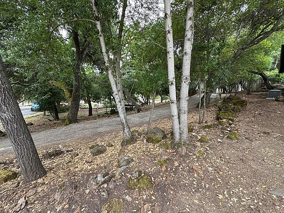 4th image of 17451 Holiday Dr