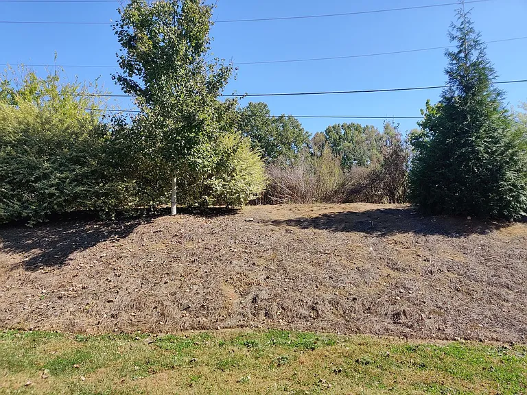 13423 Savannah Point Dr — Photo 26