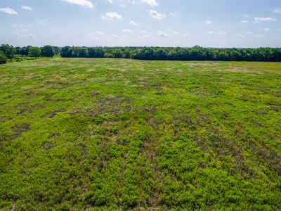 20 Acres County Road 825, Blue Ridge, TX, 75424
