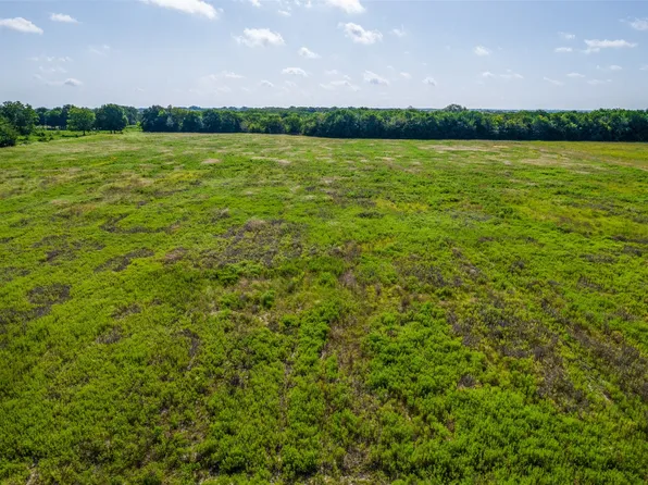20 Acres County Road 825, Blue Ridge, TX 75424