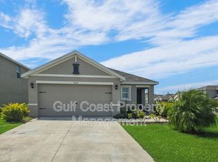 4234 Autumn Fog Ct, Palmetto, FL 34221