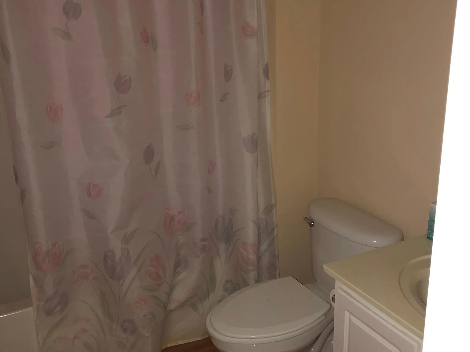 168 Egret Run Ln — Photo 4