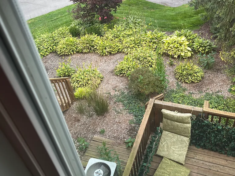 Sun Chase Dr — Photo 14