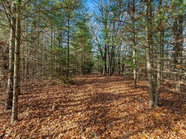Eagle Rd, Neshkoro, WI 54960