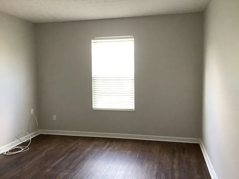 295 Marjoram Dr — Photo 13