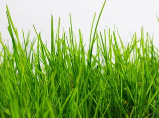 737 N Broadway Ave, Springfield, MO 65802