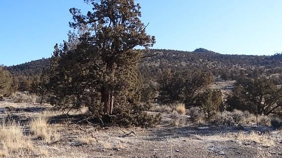 1st image of 15180 SW Hope Vista Dr