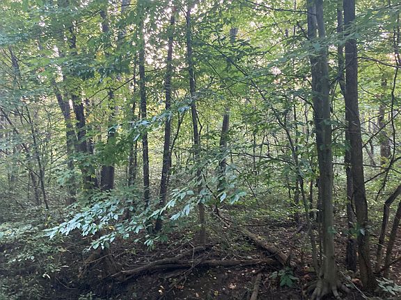 4th image of 57448 County Road 5 Lot Wp 004