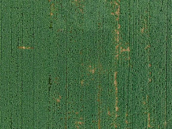 5th image of N Kohler Rd