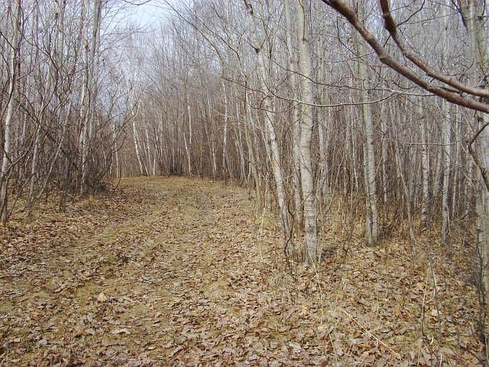 1st image of 10339 County Highway 17