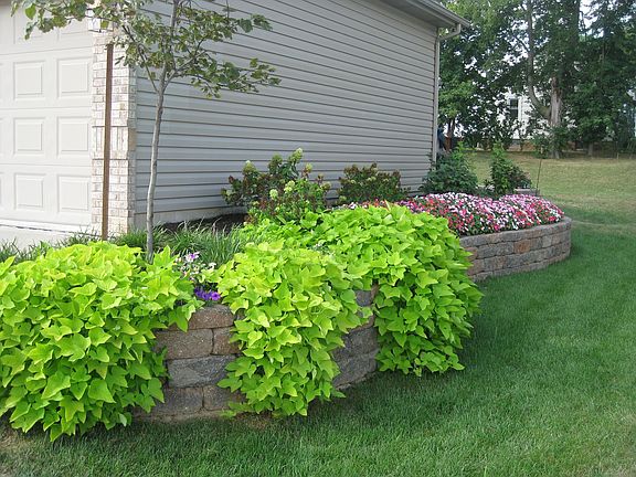 Side of house